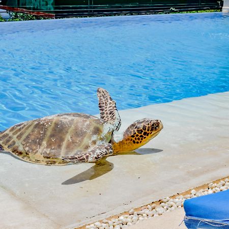 Villa Del Pescador Сиуатанехо Экстерьер фото